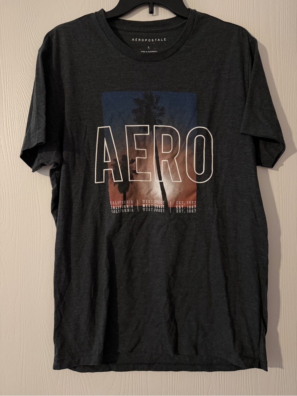 Aeropostale Mens 1987 California West Cost Short Sleeve Dark Gray T Shirt Sz L